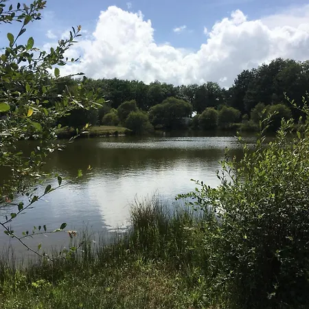 Mobil-home Tv Dans Les Bois - 2 - 5 Personnes - Coeur De Vendee - Puy Dufou * La Boissiere-de-Montaigu
