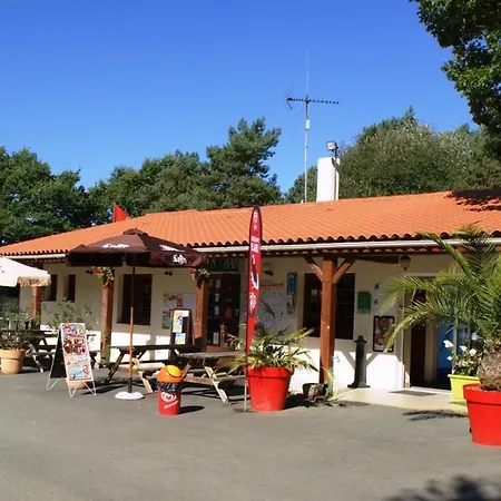 Mobil-home Tv Dans Les Bois - 2 - 5 Personnes - Coeur De Vendee - Puy Dufou Parque de Campismo